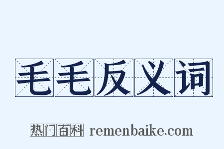 毛毛反义词是什么意思的图片